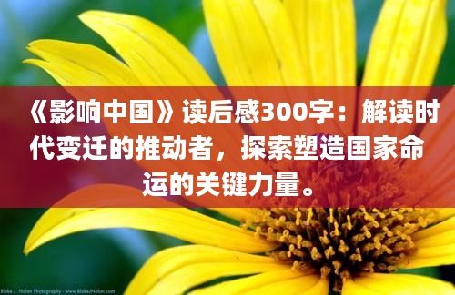 《影响中国》读后感300字：解读时代变迁的推动者，探索塑造国家命运的关键力量。