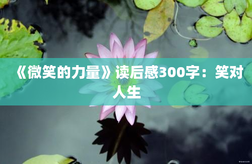 《微笑的力量》读后感300字：笑对人生