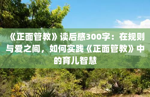 《正面管教》读后感300字：在规则与爱之间，如何实践《正面管教》中的育儿智慧