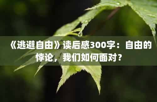 《逃避自由》读后感300字：自由的悖论，我们如何面对？