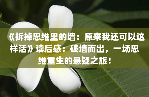 《拆掉思维里的墙：原来我还可以这样活》读后感：破墙而出，一场思维重生的悬疑之旅！