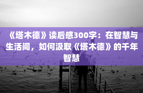 《塔木德》读后感300字：在智慧与生活间，如何汲取《塔木德》的千年智慧