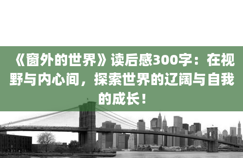 《窗外的世界》读后感300字：在视野与内心间，探索世界的辽阔与自我的成长！