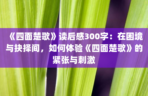 《四面楚歌》读后感300字：在困境与抉择间，如何体验《四面楚歌》的紧张与刺激