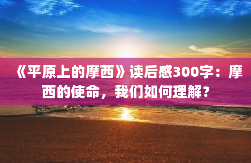 《平原上的摩西》读后感300字：摩西的使命，我们如何理解？