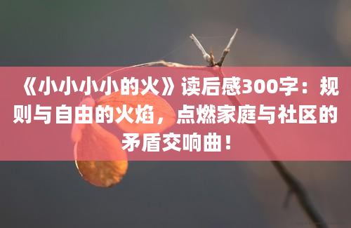 《小小小小的火》读后感300字：规则与自由的火焰，点燃家庭与社区的矛盾交响曲！