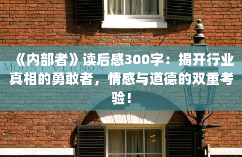 《内部者》读后感300字：揭开行业真相的勇敢者，情感与道德的双重考验！