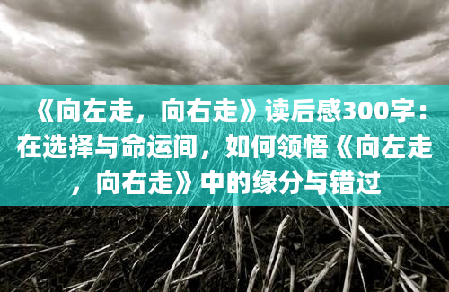 《向左走，向右走》读后感300字：在选择与命运间，如何领悟《向左走，向右走》中的缘分与错过