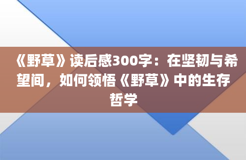 《野草》读后感300字：在坚韧与希望间，如何领悟《野草》中的生存哲学