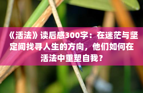 《活法》读后感300字：在迷茫与坚定间找寻人生的方向，他们如何在活法中重塑自我？