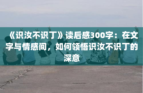 《识汝不识丁》读后感300字：在文字与情感间，如何领悟识汝不识丁的深意