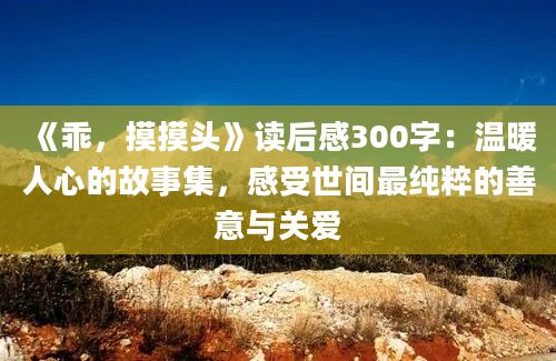 《乖，摸摸头》读后感300字：温暖人心的故事集，感受世间最纯粹的善意与关爱