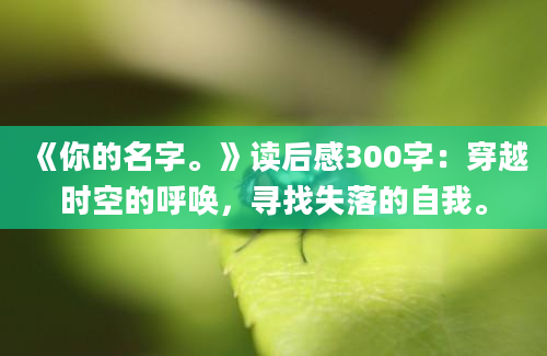 《你的名字。》读后感300字：穿越时空的呼唤，寻找失落的自我。