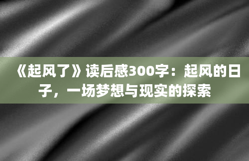 《起风了》读后感300字：起风的日子，一场梦想与现实的探索