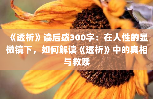 《透析》读后感300字：在人性的显微镜下，如何解读《透析》中的真相与救赎