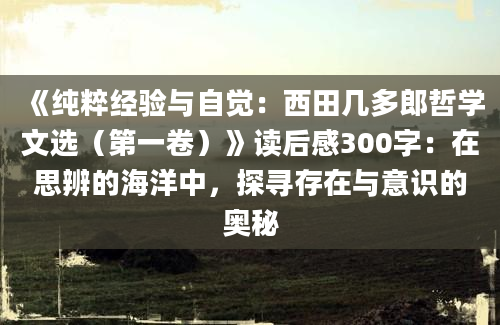 《纯粹经验与自觉：西田几多郎哲学文选（第一卷）》读后感300字：在思辨的海洋中，探寻存在与意识的奥秘