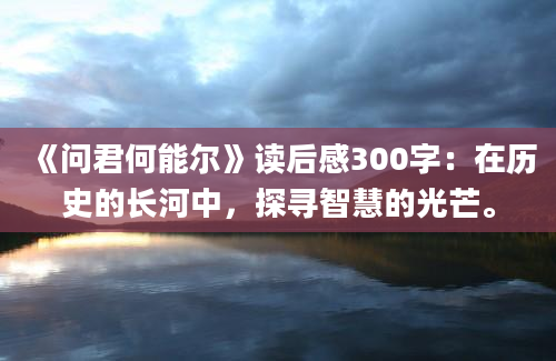 《问君何能尔》读后感300字：在历史的长河中，探寻智慧的光芒。