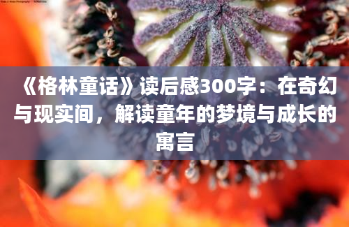 《格林童话》读后感300字：在奇幻与现实间，解读童年的梦境与成长的寓言