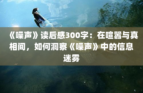 《噪声》读后感300字：在喧嚣与真相间，如何洞察《噪声》中的信息迷雾