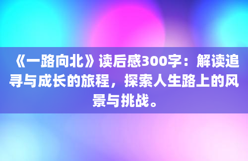 《一路向北》读后感300字：解读追寻与成长的旅程，探索人生路上的风景与挑战。