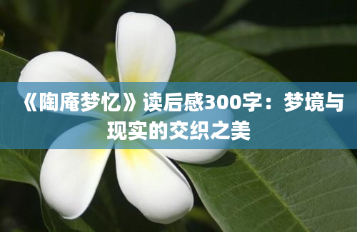 《陶庵梦忆》<a href=https://www.baixuetang.com target=_blank class=infotextkey>读后感</a>300字：梦境与现实的交织之美