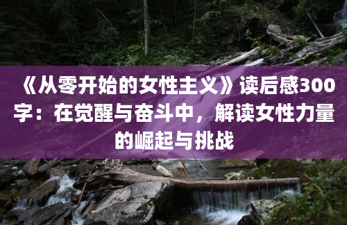 《从零开始的女性主义》读后感300字：在觉醒与奋斗中，解读女性力量的崛起与挑战