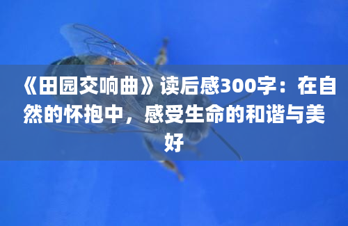 《田园交响曲》读后感300字：在自然的怀抱中，感受生命的和谐与美好