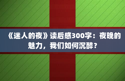 《迷人的夜》读后感300字：夜晚的魅力，我们如何沉醉？