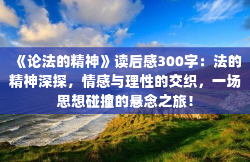 《论法的精神》读后感300字：法的精神深探，情感与理性的交织，一场思想碰撞的悬念之旅！