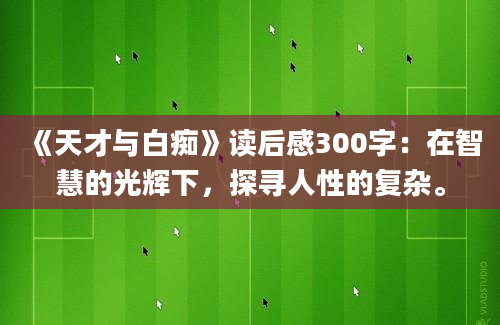 《天才与白痴》读后感300字：在智慧的光辉下，探寻人性的复杂。