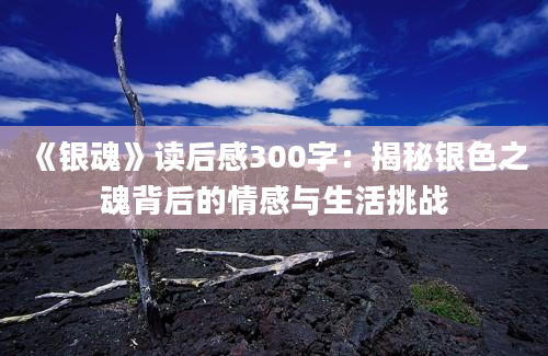 《银魂》读后感300字：揭秘银色之魂背后的情感与生活挑战