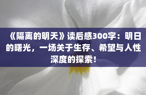 《隔离的明天》读后感300字：明日的曙光，一场关于生存、希望与人性深度的探索！