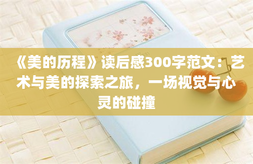 《美的历程》读后感300字范文：艺术与美的探索之旅，一场视觉与心灵的碰撞