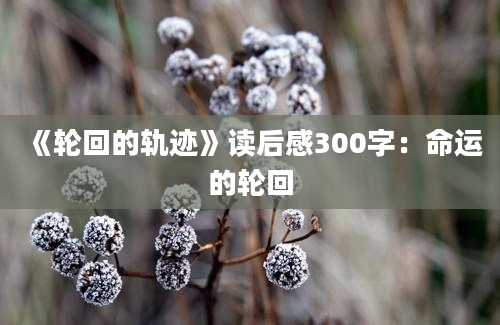 《轮回的轨迹》读后感300字：命运的轮回