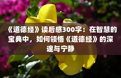 《道德经》读后感300字：在智慧的宝典中，如何领悟《道德经》的深邃与宁静