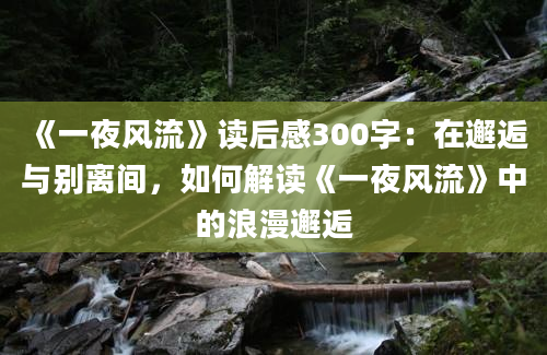 《一夜风流》读后感300字：在邂逅与别离间，如何解读《一夜风流》中的浪漫邂逅