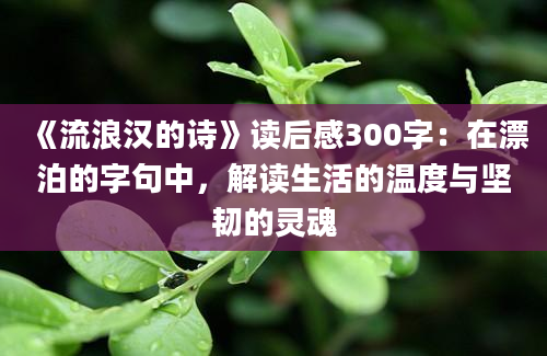 《流浪汉的诗》读后感300字：在漂泊的字句中，解读生活的温度与坚韧的灵魂