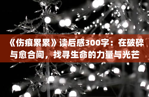 《伤痕累累》读后感300字：在破碎与愈合间，找寻生命的力量与光芒