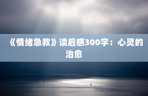 《情绪急救》读后感300字：心灵的治愈