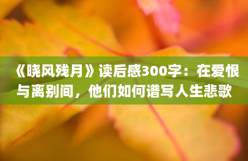 《晓风残月》读后感300字：在爱恨与离别间，他们如何谱写人生悲歌