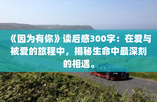 《因为有你》读后感300字：在爱与被爱的旅程中，揭秘生命中最深刻的相遇。