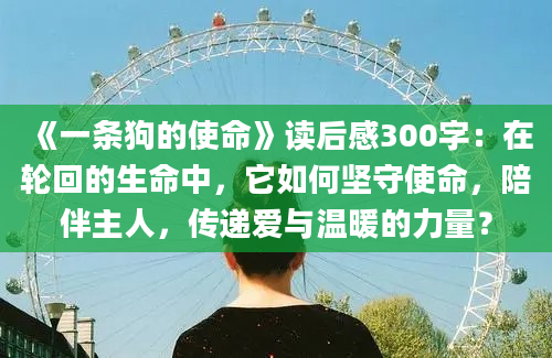 《一条狗的使命》读后感300字：在轮回的生命中，它如何坚守使命，陪伴主人，传递爱与温暖的力量？