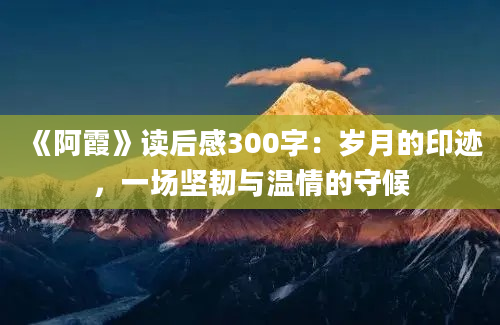 《阿霞》读后感300字：岁月的印迹，一场坚韧与温情的守候