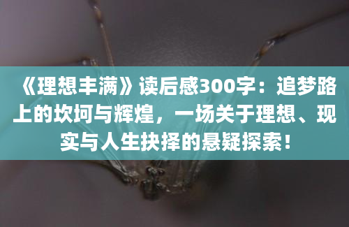 《理想丰满》读后感300字：追梦路上的坎坷与辉煌，一场关于理想、现实与人生抉择的悬疑探索！