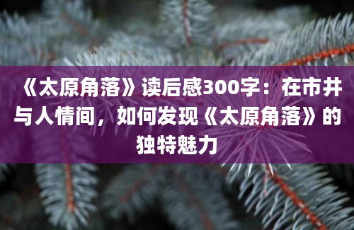 《太原角落》读后感300字：在市井与人情间，如何发现《太原角落》的独特魅力