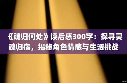 《魂归何处》读后感300字：探寻灵魂归宿，揭秘角色情感与生活挑战