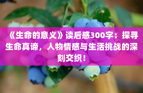 《生命的意义》读后感300字：探寻生命真谛，人物情感与生活挑战的深刻交织！