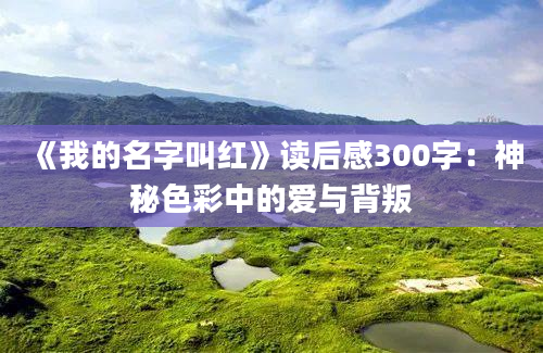 《我的名字叫红》读后感300字：神秘色彩中的爱与背叛