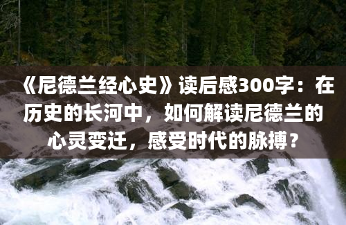 《尼德兰经心史》读后感300字：在历史的长河中，如何解读尼德兰的心灵变迁，感受时代的脉搏？