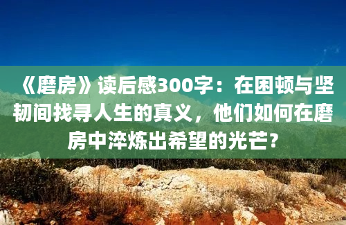 《磨房》读后感300字：在困顿与坚韧间找寻人生的真义，他们如何在磨房中淬炼出希望的光芒？